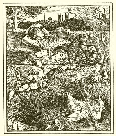 Den bemærkelsesværdige raket af Walter Crane