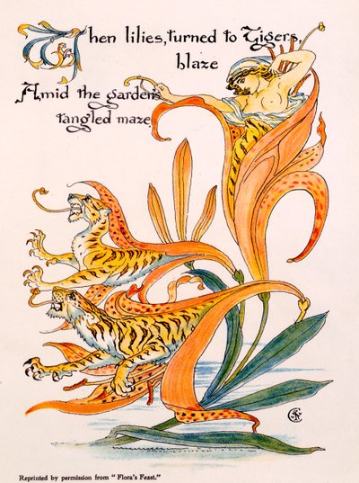 Tiger Lilies, illustration fra 