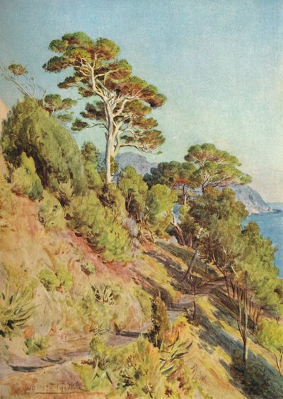I Villa Piuma, Sestri Levante, c1910, 1912 af Walter Frederick Roofe Tyndale