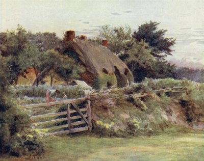 The New Forest: Cottage nær Brokenhurst (farve litho) af Walter Frederick Roofe Tyndale