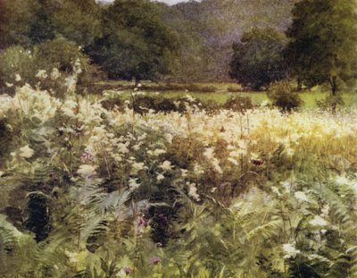 The New Forest: Meadow Sweet nær Royden (farve litho) af Walter Frederick Roofe Tyndale