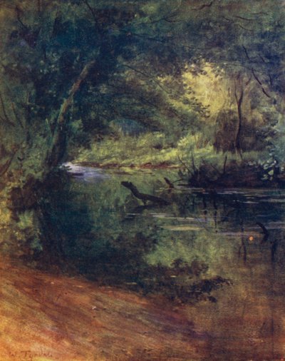 The New Forest: Northgate, nær Culverley, i Lodge Walk (farve litho) af Walter Frederick Roofe Tyndale