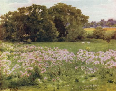 The New Forest: Riversdale, Boldre (farve litho) af Walter Frederick Roofe Tyndale