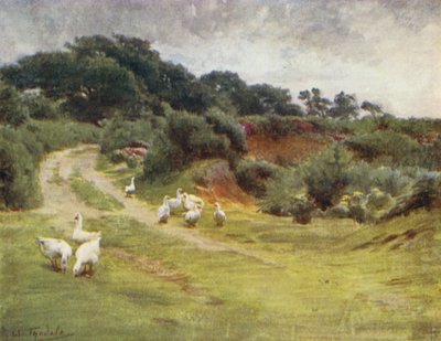 The New Forest: Roydon Common, nær Brockenhurst (farve litho) af Walter Frederick Roofe Tyndale