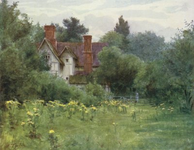 The New Forest: The Mill House, Brokenhurst (farve litho) af Walter Frederick Roofe Tyndale