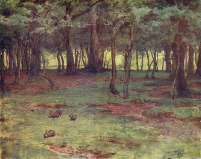 The New Forest: The Woods in Setley Plain (farve litho) af Walter Frederick Roofe Tyndale