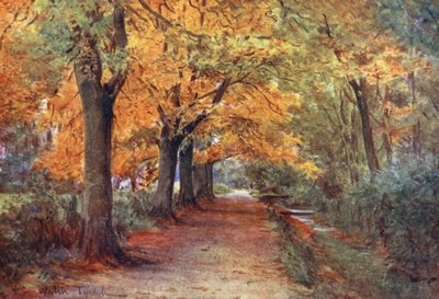Wessex: Bockhampton Bank, nær Dorchester (farvelitografi) af Walter Frederick Roofe Tyndale