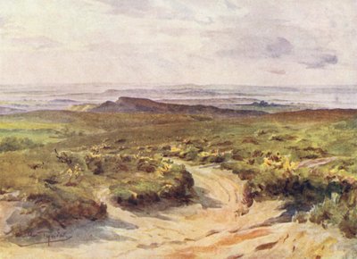 Wessex: Studland Heath, Poole Harbour i det fjerne (farvelitografi) af Walter Frederick Roofe Tyndale