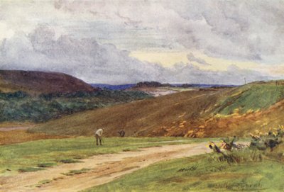 Wessex: Broadstone Golf Links, nær Poole (farvelitografi) af Walter Frederick Roofe Tyndale