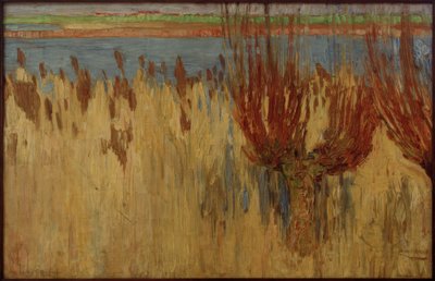 Altwasser Heerdt af Walter Ophey