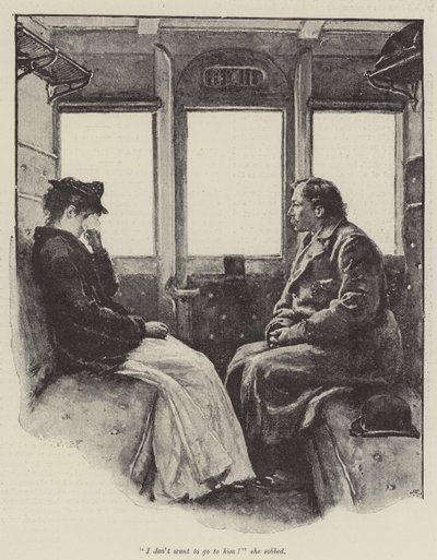 The Pursuit of the Well Beloved, af Thomas Hardy af Walter Paget