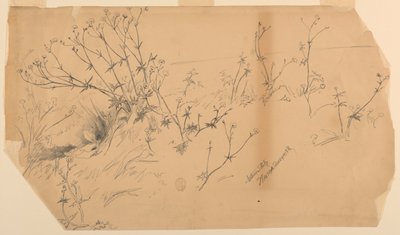 Naturstudie af Walter Shirlaw