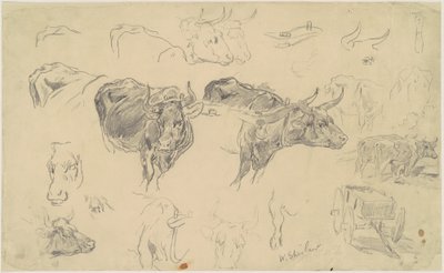 Studier af okser af Walter Shirlaw