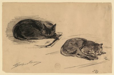 Studie af katte af Walter Shirlaw