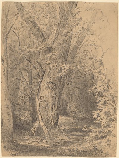 Træ og Løv af Walter Shirlaw