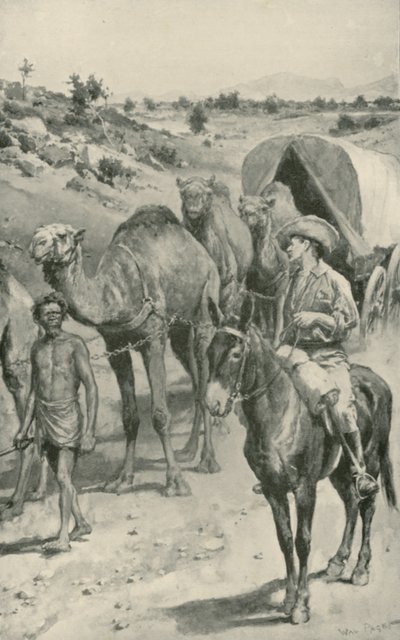 En Camel-Caravan, Western Australia af Walter Stanley Paget