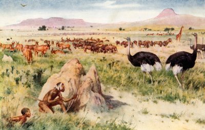 A South African Plain: Before the Coming of the White Man af Walter Stanley Paget