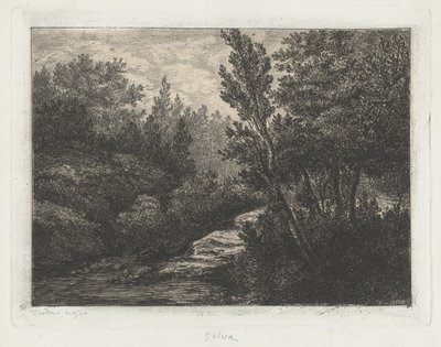 Selva (Skov) af Walter Teodoro Bosio
