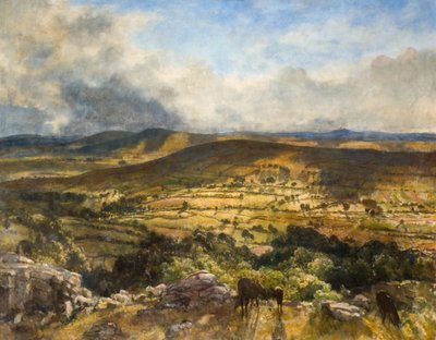 Widecombe In The Moor, Devon, 1922. af Walter Westley Russell
