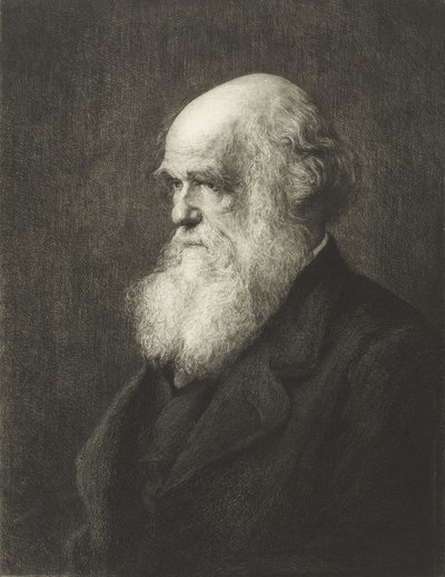 Charles Robert Darwin (gravering) af Walter William (after) Ouless