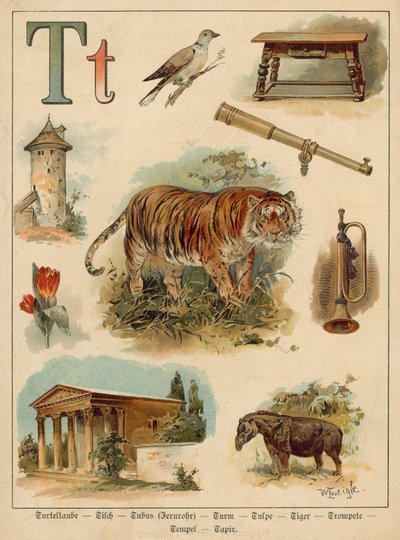 Bogstav T (chromolitho) af Walter Zweigle
