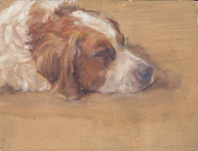 hundehoved (studie) af Walther Gamerith