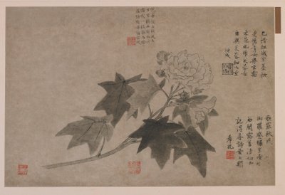 Hibiscus, 1347. af Wang Yuan