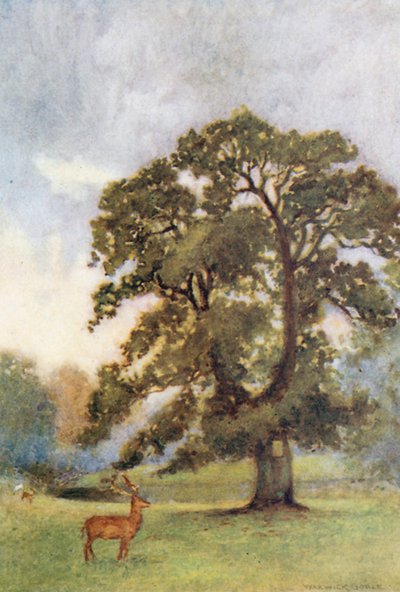  af Warwick (after) Goble