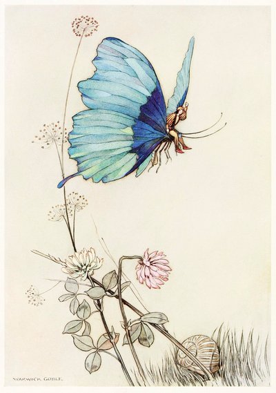Sommerfuglen tog vinge og satte sig op i luften med lille Tom på ryggen, fra The Fairy Book,1 af Warwick Goble
