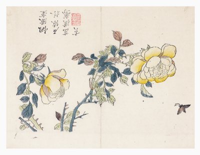Sennepsfrøhave af Wen shu Chao