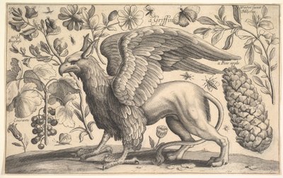 A Griffin, 1625-77. af Wenceslaus Hollar