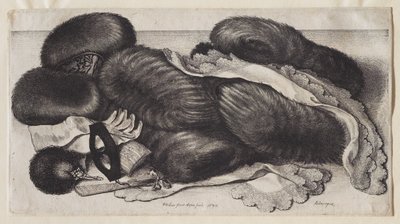  af Wenceslaus Hollar