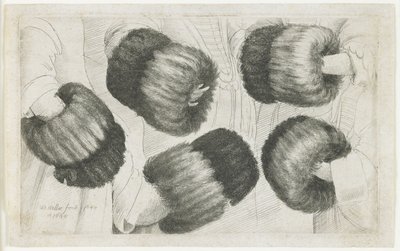 En muffe i fem synspunkter, 1645-1646 af Wenceslaus Hollar