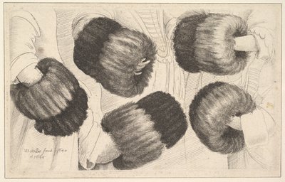 En muffe i fem synspunkter, 1645-46. af Wenceslaus Hollar