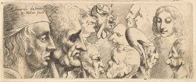 En række hoveder, 1625-77. af Wenceslaus Hollar