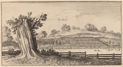 Albury af Wenceslaus Hollar