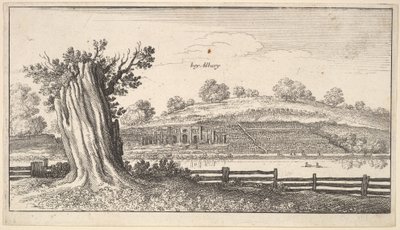 Albury med træstub i forgrunden, 1625-77. af Wenceslaus Hollar