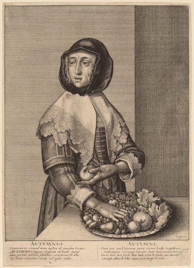Efterår af Wenceslaus Hollar