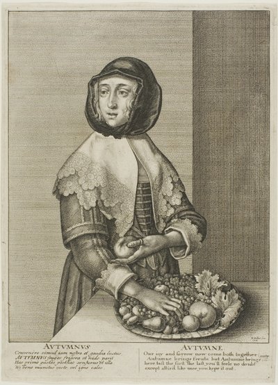 Efterår af Wenceslaus Hollar