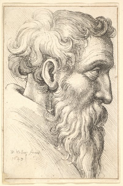  af Wenceslaus Hollar