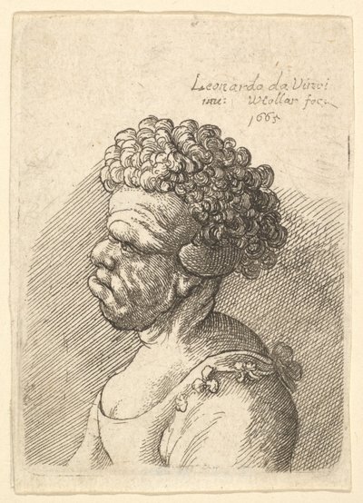 Buste af en deformeret kvinde med krøllet hår i profil til venstre, 1665. af Wenceslaus Hollar