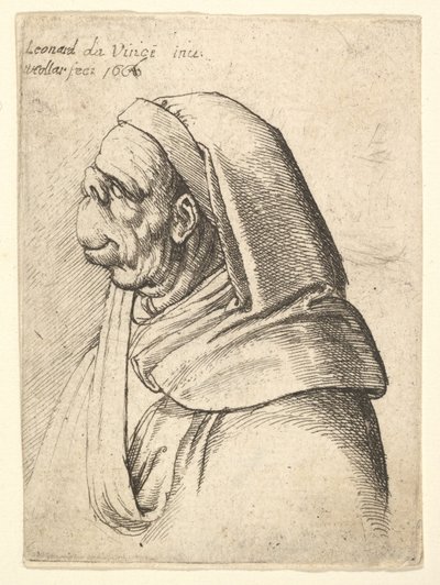 Buste af en mand med en lille opslået næse og meget høj overlæbe, iført hætte, i profil..., 1666. af Wenceslaus Hollar