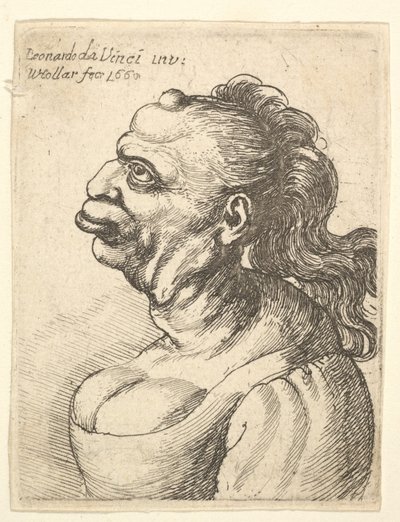 Buste af en kvinde iført lav-cut kjole, med fremspringende læbe, vækst på panden, promi..., 1660. af Wenceslaus Hollar