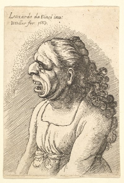 Buste af kvinde med vidt åben mund og langt krøllet hår, der falder over hendes skuldre, iført..., 1665. af Wenceslaus Hollar