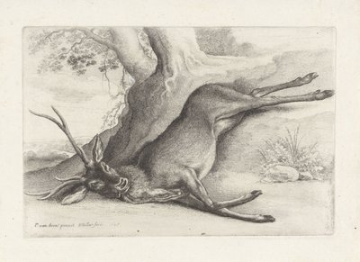 skudt rådyr Jagt, jagthunde og vildt (serietitel) af Wenceslaus Hollar