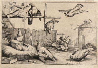 Otte duer. Tilstand 1 af Wenceslaus Hollar