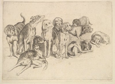 Elleve Hunde, 1625-77. af Wenceslaus Hollar