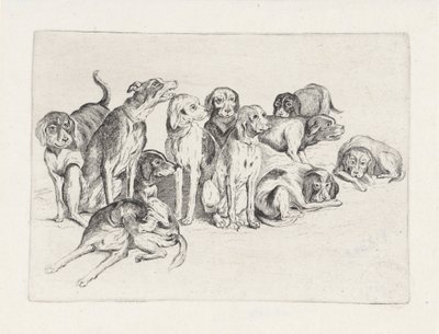 Elleve jagthunde af Wenceslaus Hollar