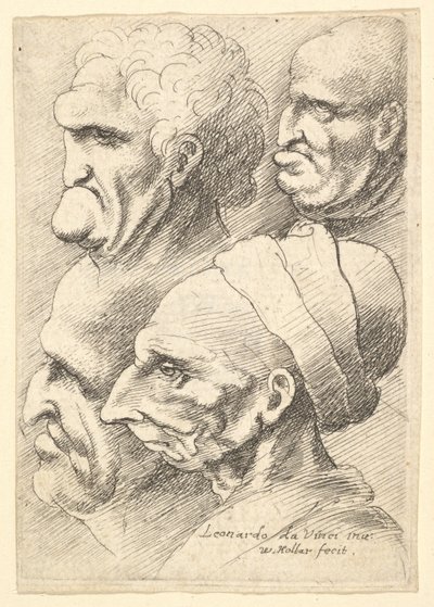 Fire groteske hoveder i profil til venstre, 1625-77. af Wenceslaus Hollar