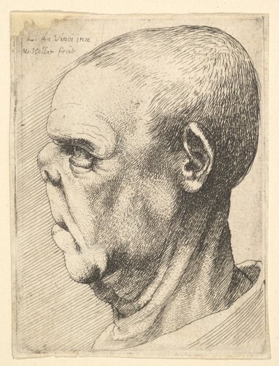 Grotesk gammel mand med flad næse i profil til venstre, 1625-77. af Wenceslaus Hollar